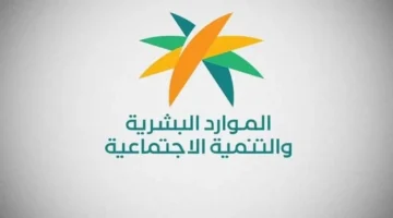 المقابل المالي لعمل المرافقين.. قرار جديد يمنح وزير الموارد البشرية سلطة تحديده